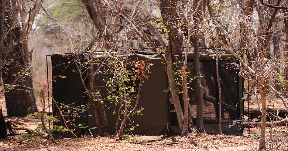 Acacia Camp, Inzila Mobile Safaris