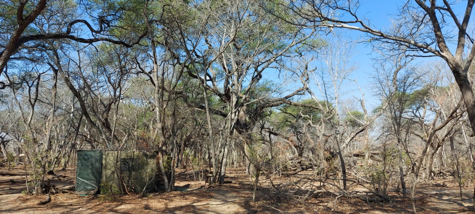 Acacia Camp, Inzila Mobile Safaris