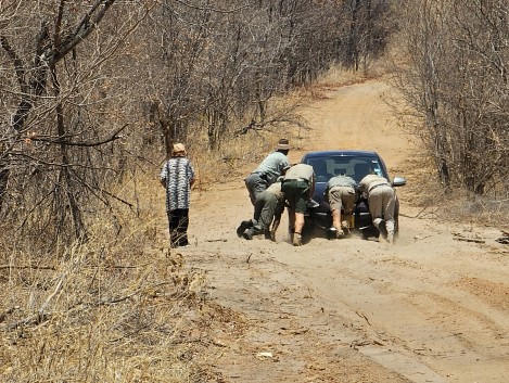 Rettung in der Hitze des Hwange National Parks