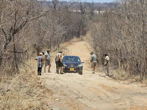 Rettung in der Hitze des Hwange National Parks