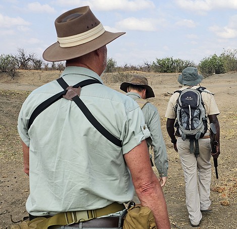 Zu Fuß auf Raubkatzensuche im Hwange National Park