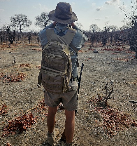 Zu Fuß auf Raubkatzensuche im Hwange National Park