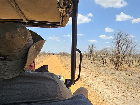 Ortswechsel im Hwange National Park 