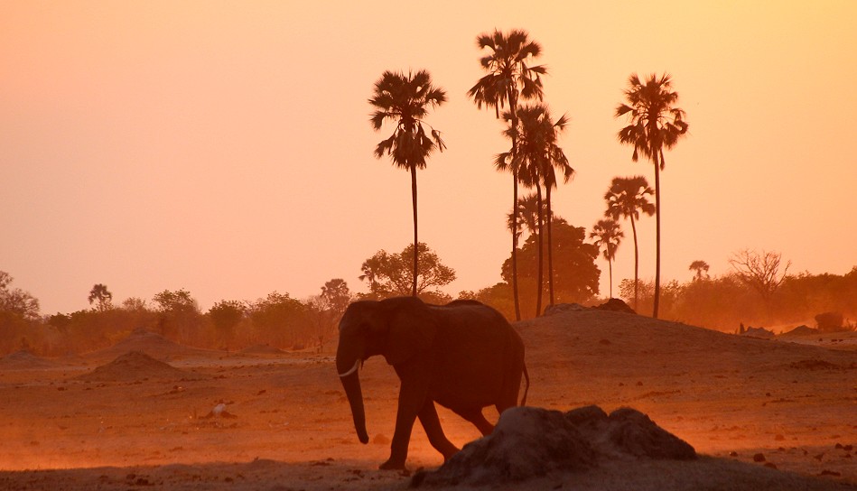 Sonnenuntergang im Hwange National Park
