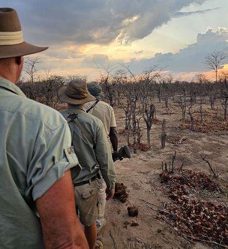 Auf der Suche nach Raubkatzen, Fusspirsch im Hwange Park