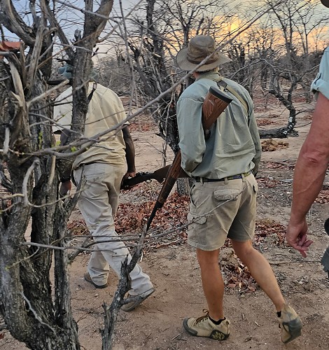 Auf der Suche nach Raubkatzen, Fusspirsch im Hwange Park