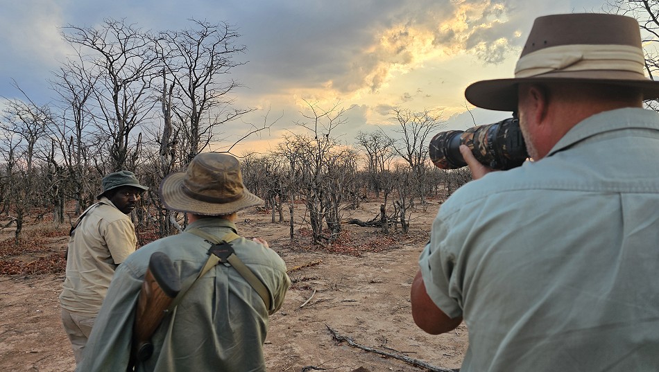 Auf der Suche nach Raubkatzen, Fusspirsch im Hwange Park