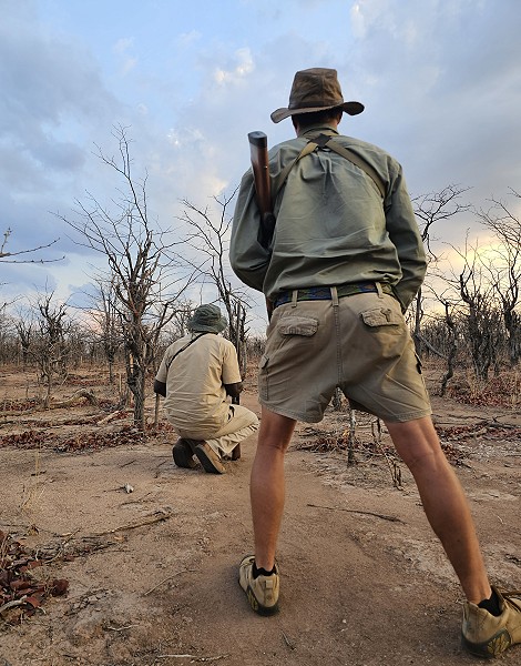 Auf der Suche nach Raubkatzen, Fusspirsch im Hwange Park