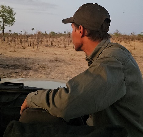 Löwen Begegnung im Hwange National Park