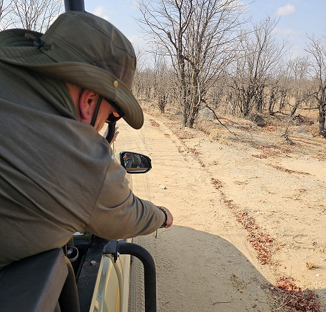 den Löwen auf der Spur, Hwange National Park