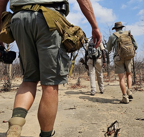 zu Fuß den Löwen auf der Spur, Hwange National Park