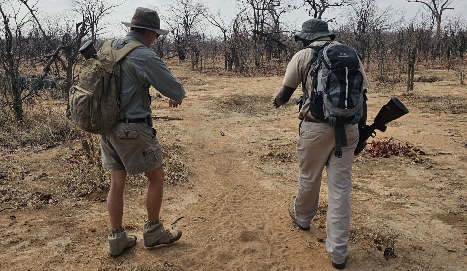 zu Fuß den Löwen auf der Spur, Hwange National Park