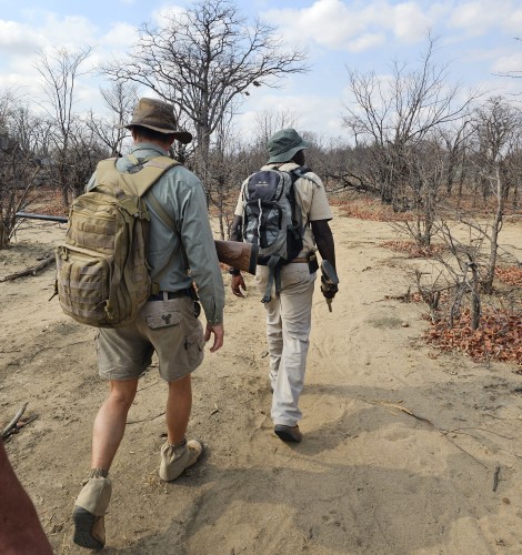 zu Fuß den Löwen auf der Spur, Hwange National Park