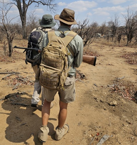 zu Fuß den Löwen auf der Spur, Hwange National Park