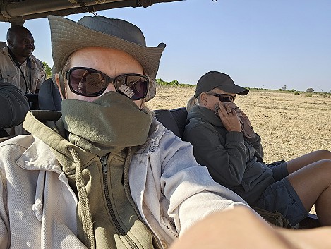 Löwen am Elefantenkadaver, Hwange National Park