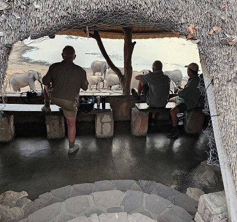 Wildbeobachtung am Masuma Dam, Hwange Park