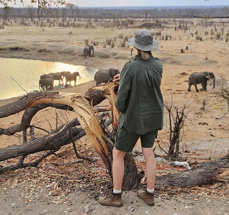 Wildbeobachtung am Masuma Dam, Hwange Park