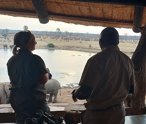 Wildbeobachtung am Masuma Dam, Hwange Park