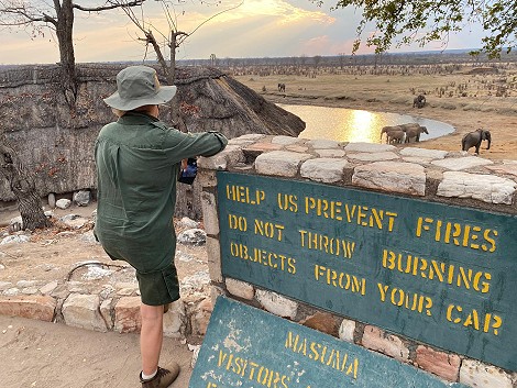 Wildbeobachtung am Masuma Dam