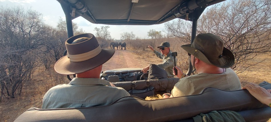 Überall Elefanten im Hwange National Park