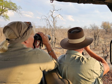 Wildbeobachtung im Hwange National Park