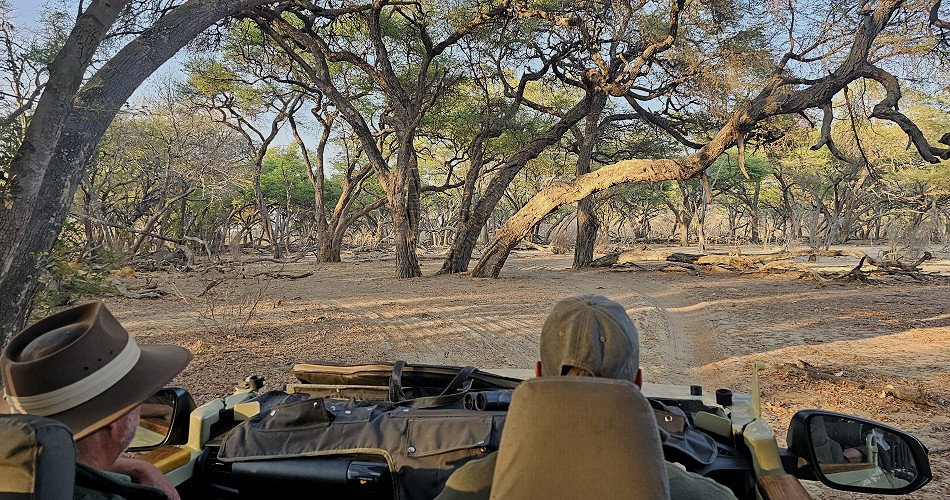 Pirschfahrt, Inzila mobile Safaris
