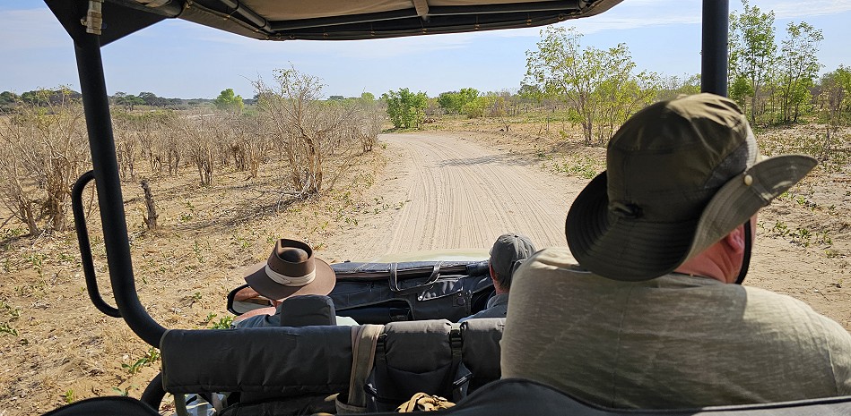 Unterwegs im Hwange National 