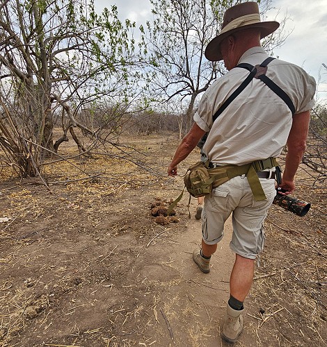 Zu Fuß unterwegs im Hwange National Park