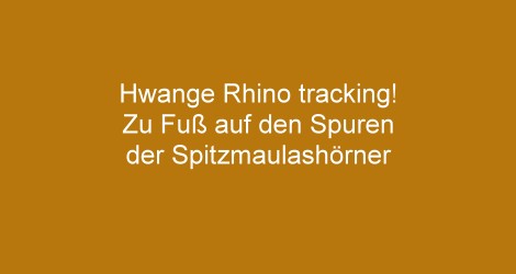 Rhino Tracking with Adam Jones