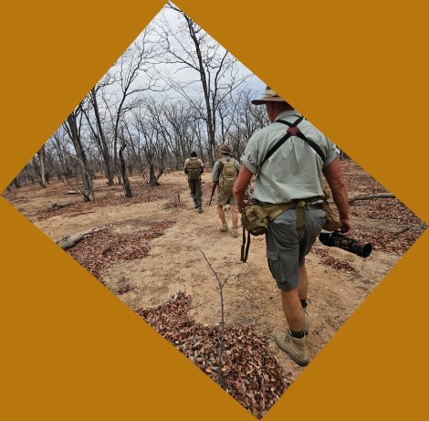 Rhino Tracking with Adam Jones