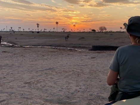 Sundowner im Hwange National Park