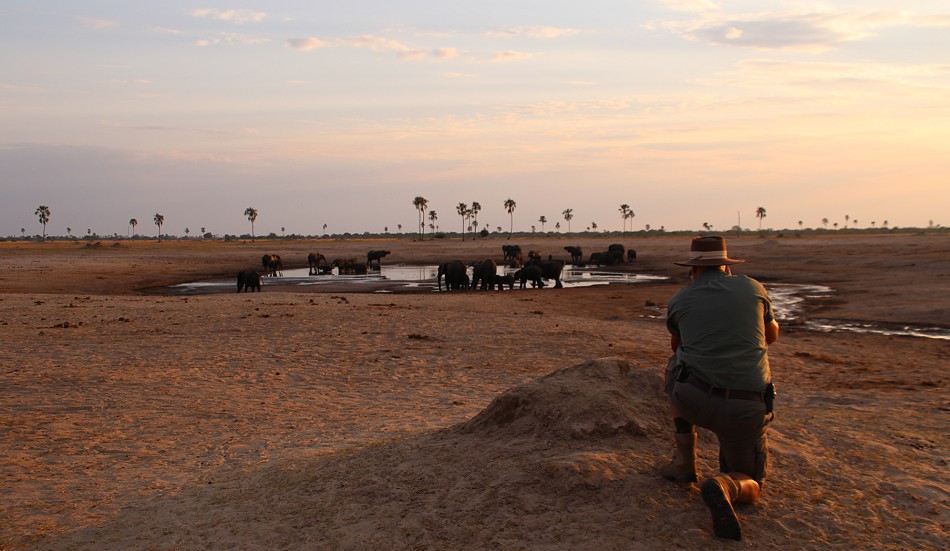 Sundowner im Hwange National Park