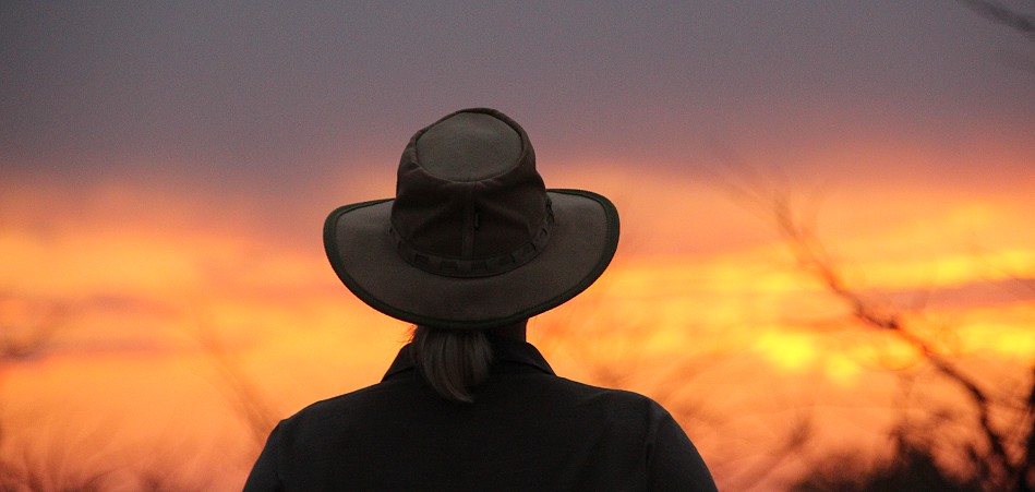 Sonnenuntergangsstimmung Im Hwange National Park