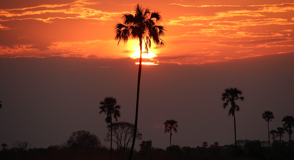 Sonnenuntergang im Hwange National Park