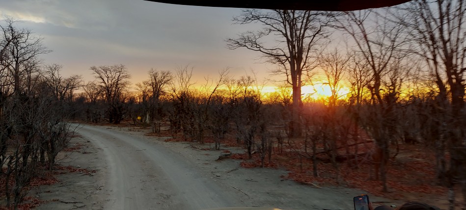 Sonnenuntergang im Hwange Park