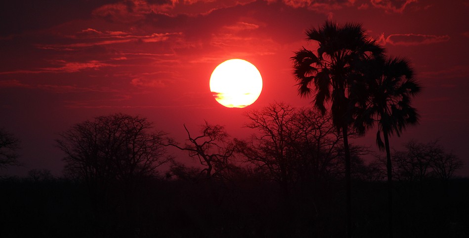 Sonnenuntergang im Hwange Park