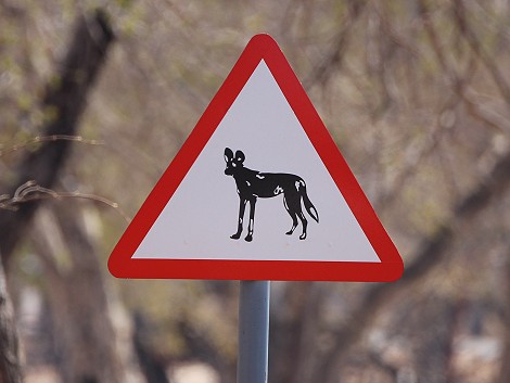 Wildhund Station am Hwange National Park