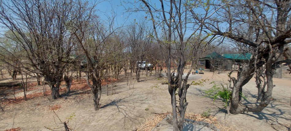 Kapula South Camp - Kapula Conservancy - Hwange National Park
