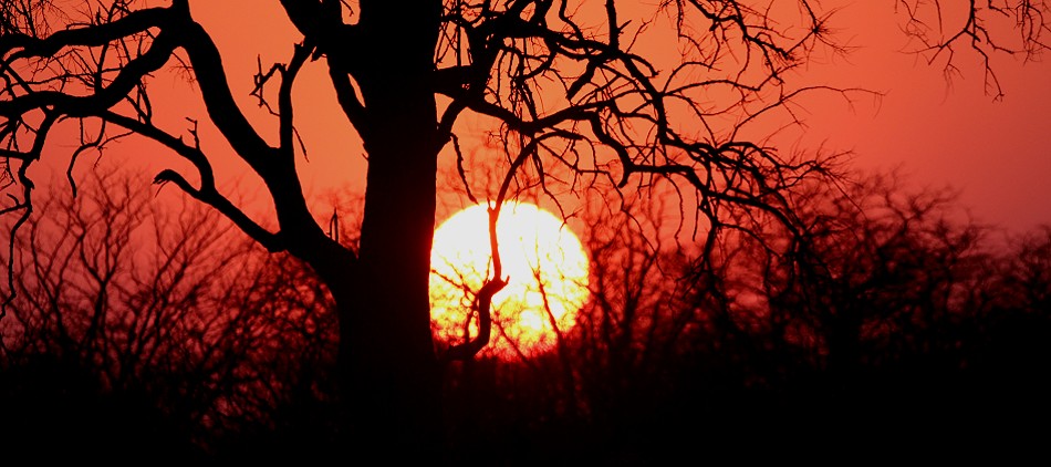 Sonnenaufgang im Kapula South Camp