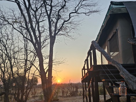 Morgens im Kapula South Camp