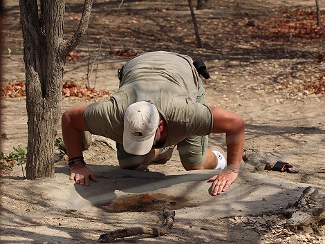 Kapula South Camp - Hwange National Park
