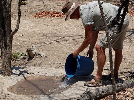 Kapula South Camp - Hwange National Park
