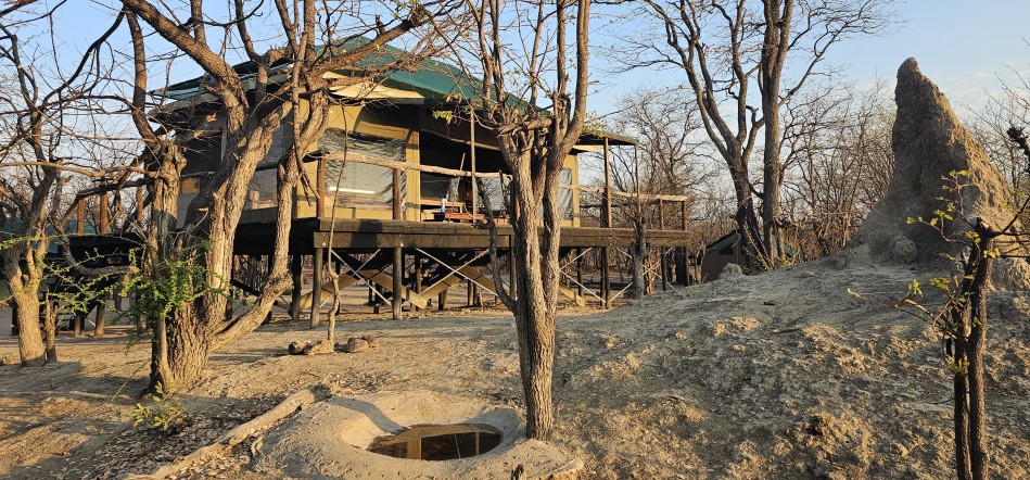 Kapula South Camp - Hwange National Park
