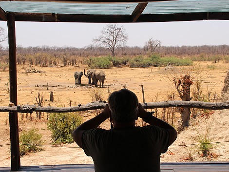 Kapula South Camp - Hwange National Park