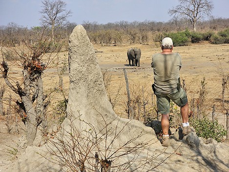Wildbeobachtung am Kapula South Camp