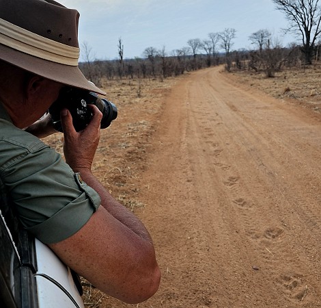 Auf den Spuren der Msuma Löwen, Hwange National Park