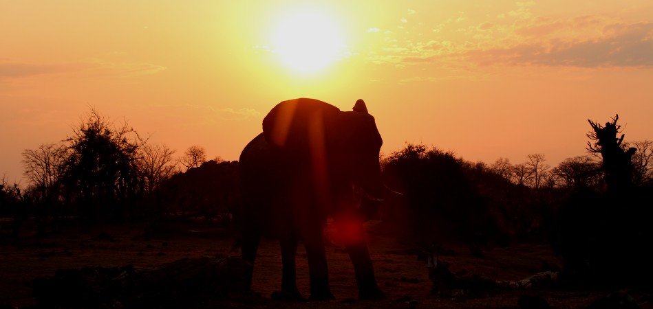 Sonnenaufgang im Hwange National Park