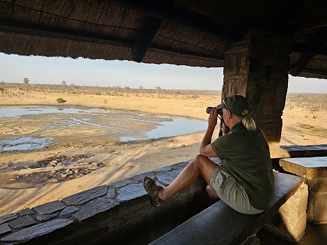 Wildbeobachtung am Masuma Dam