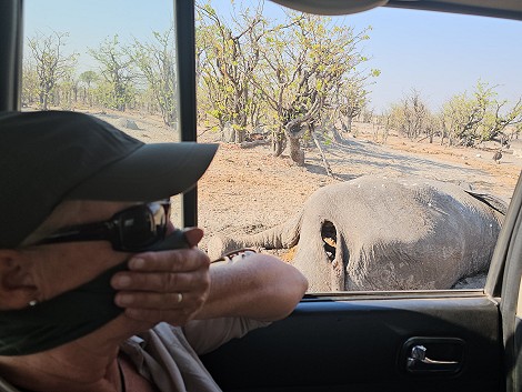 Pirschfahrt im Hwange National Park