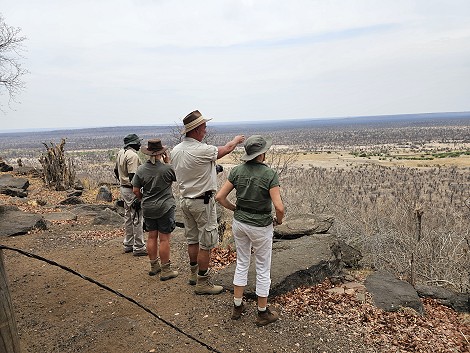 Sinamatella Camp, Hwange Park